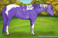 Horse Color:Watercolor Black Tobiano