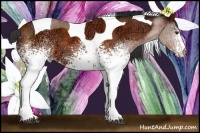 Horse Color:White Spotted Bay Ice Tobiano 