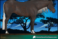 Horse Color:Silver Brown 