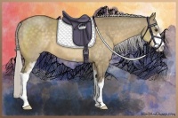 Horse Color:Silver Buckskin Dun Sabino