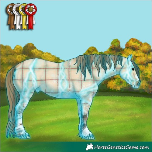 Horse Color:Thunderstruck Plaid  White Spotted Bay Dun 