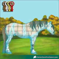 Horse Color:Thunderstruck Plaid  White Spotted Bay Dun 
