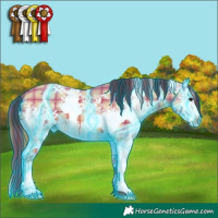 Horse Color:Thunderstruck Plaid  White Spotted Bay Dun 