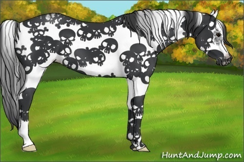 Horse Color:Black Sabino Frame 