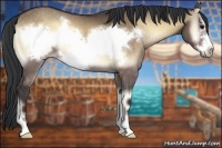 Horse Color:Bay Onyx Sabino Frame