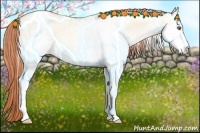 Horse Color:White Spotted Amber Cream Champagne Pearl Dun Sabino 