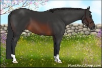 Horse Color:Brown 