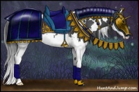 Horse Color:White Spotted Black Sabino Splash Rabicano