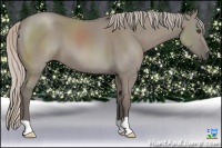 Horse Color:Silver Grullo Frame