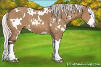 Horse Color:White Spotted Silver Bay Dun Splash 