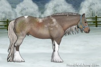 Horse Color:Silver Black Tobiano 