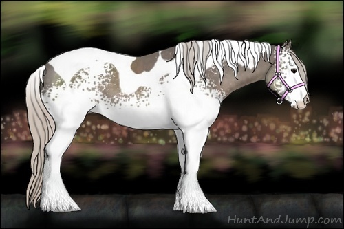 Horse Color:White Spotted Silver Black Tobiano 