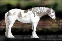 Horse Color:White Spotted Silver Black Tobiano 