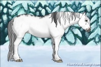 Horse Color:White Spotted Black Splash Frame 