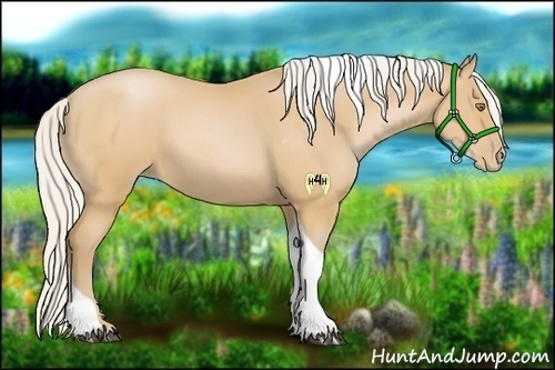 Horse Color:Silver Bay Pearl Tobiano