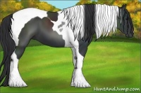 Horse Color:Black Tobiano 