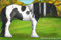 Horse Color:Black Tobiano 