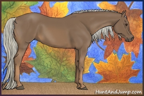 Horse Color:Chocolate Palomino 