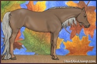 Horse Color:Chocolate Palomino 