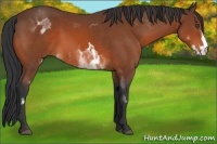 Horse Color:White Spotted Bay Frame 