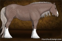 Horse Color:Chocolate Silver Black