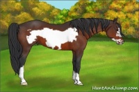 Horse Color:Bay Frame
