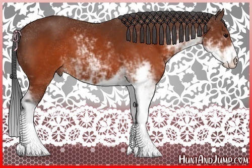 Horse Color:Brown Sabino 