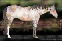 Horse Color:Nacre Amber Champagne Ice