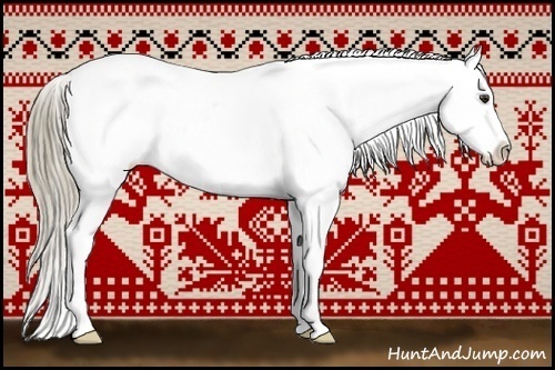 Horse Color:White Spotted Liver Chestnut Appaloosa Rabicano 