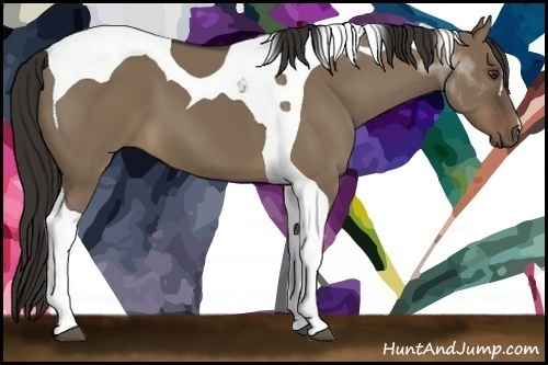 Horse Color:Liver Red Dun Tobiano 