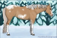 Horse Color:Silver Bay Dun Sabino Tobiano Frame Rabicano