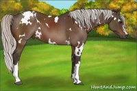 Horse Color:White Spotted Silver Bay 