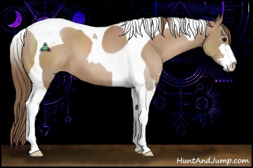 Horse Color:Black Pearl Sabino Tobiano