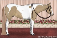 Horse Color:Chocolate Palomino Dun Sabino Tobiano