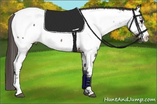 Horse Color:Brown Frame Fewspot