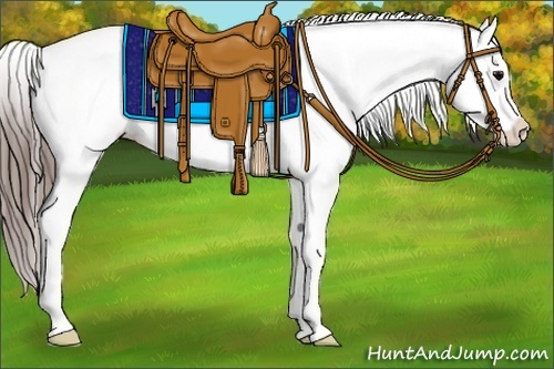 Horse Color:Black Splash Appaloosa 