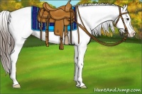 Horse Color:Black Splash Appaloosa 