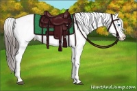 Horse Color:White Spotted Black Splash Appaloosa 
