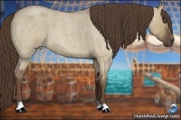 Horse Color:Liver Red Dun Roan 