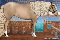 Horse Color:Liver Chestnut Pearl