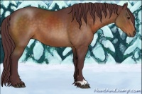 Horse Color:Chocolate Bay 
