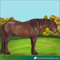 Horse Color:Chocolate Brown 