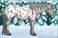 Horse Color:Liver Chestnut Sabino Blanket 