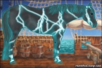 Horse Color:Thunderstruck Black Sabino 