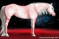 Horse Color:Brown Splash Frame Appaloosa 