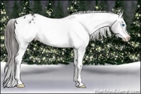 Horse Color:Black Frame Appaloosa 