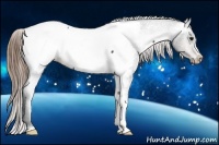 Horse Color:Buckskin Near Fewspot Rabicano