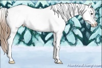 Horse Color:Black Pearl Near Fewspot
