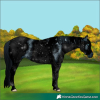 Horse Color:ERROR: UNKNOWN ANOMALY