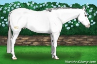 Horse Color:Grullo Sabino Near Fewspot 